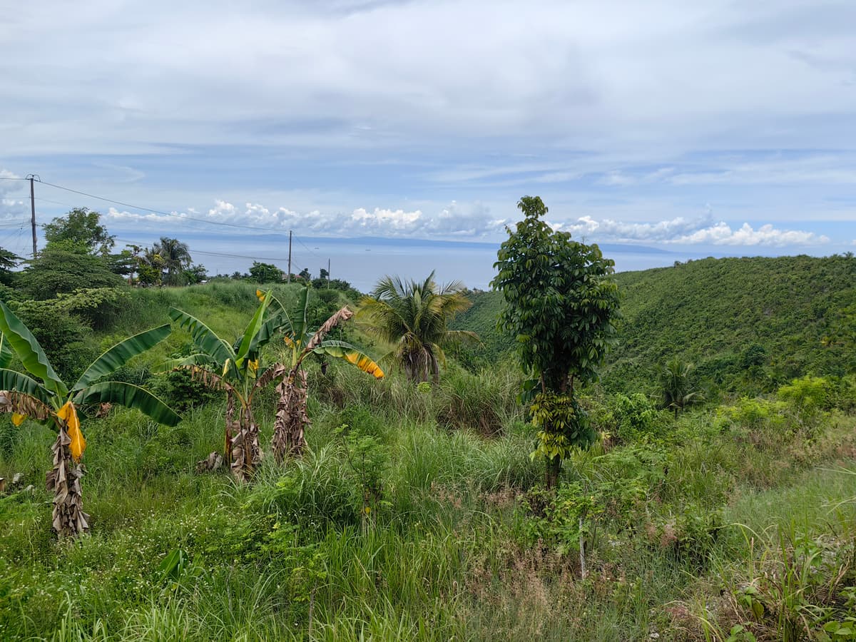 Agri LOT FOR SALE 11,640 IN SAN FERNANDO, CEBU - photo 3