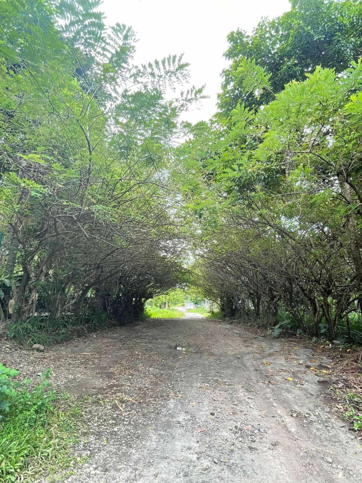 Granada Lot For Sale - photo 4