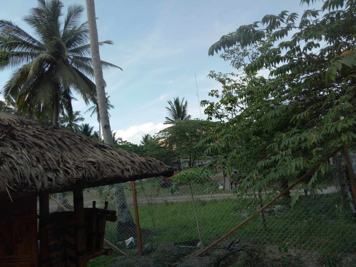 7M LOT FOR SALE IN TAGUM - photo 3