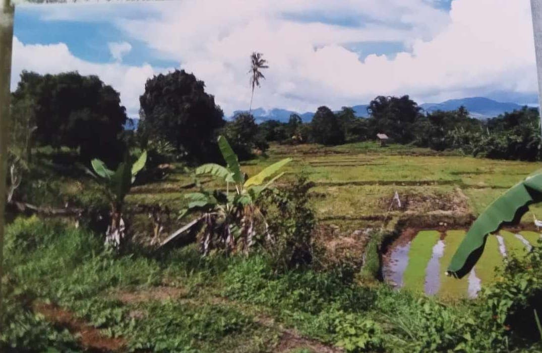 ORMOC FARM LOT FOR SALE - photo 3