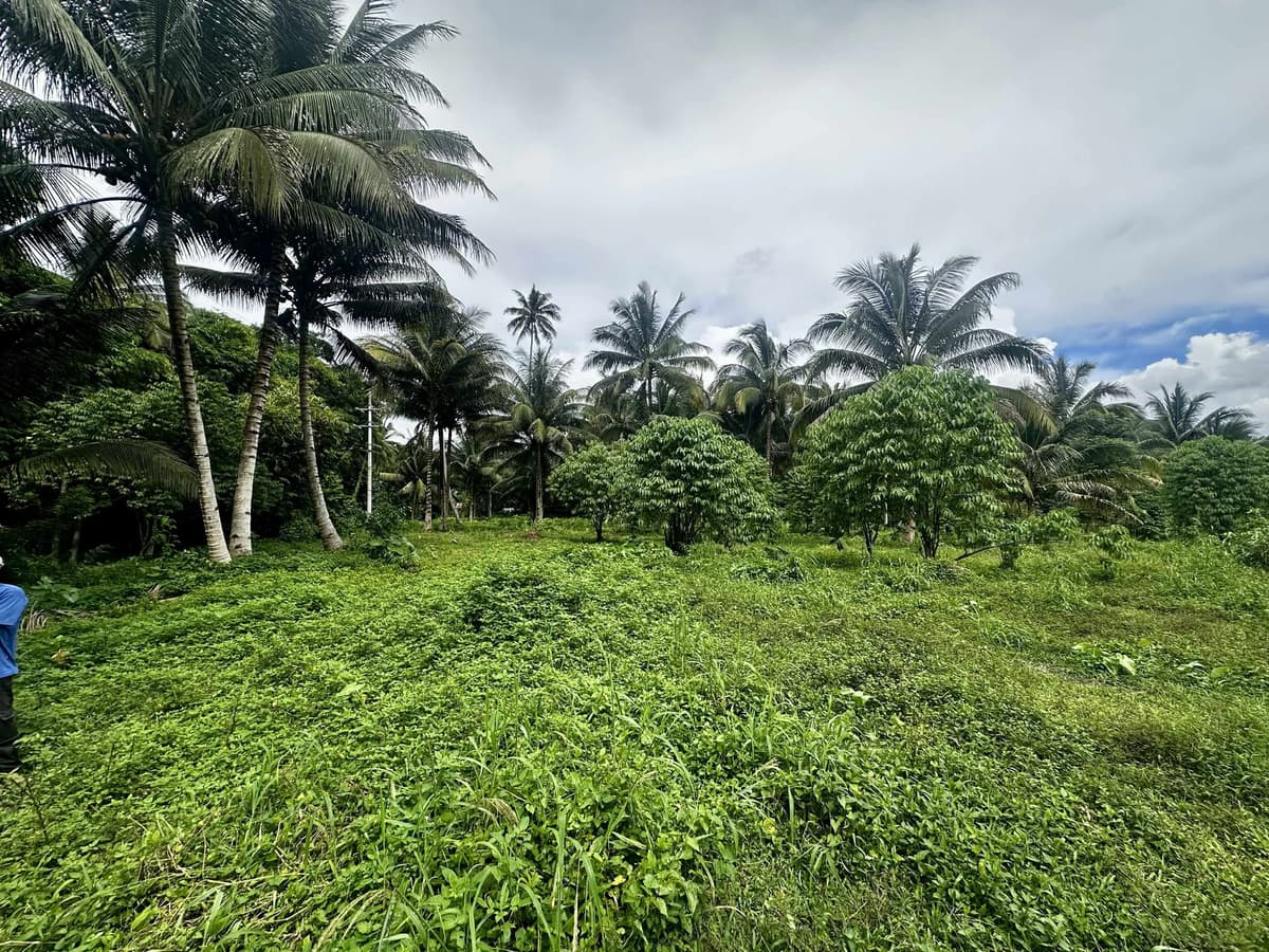 ALONG NATIONAL HIGHWAY - photo 5