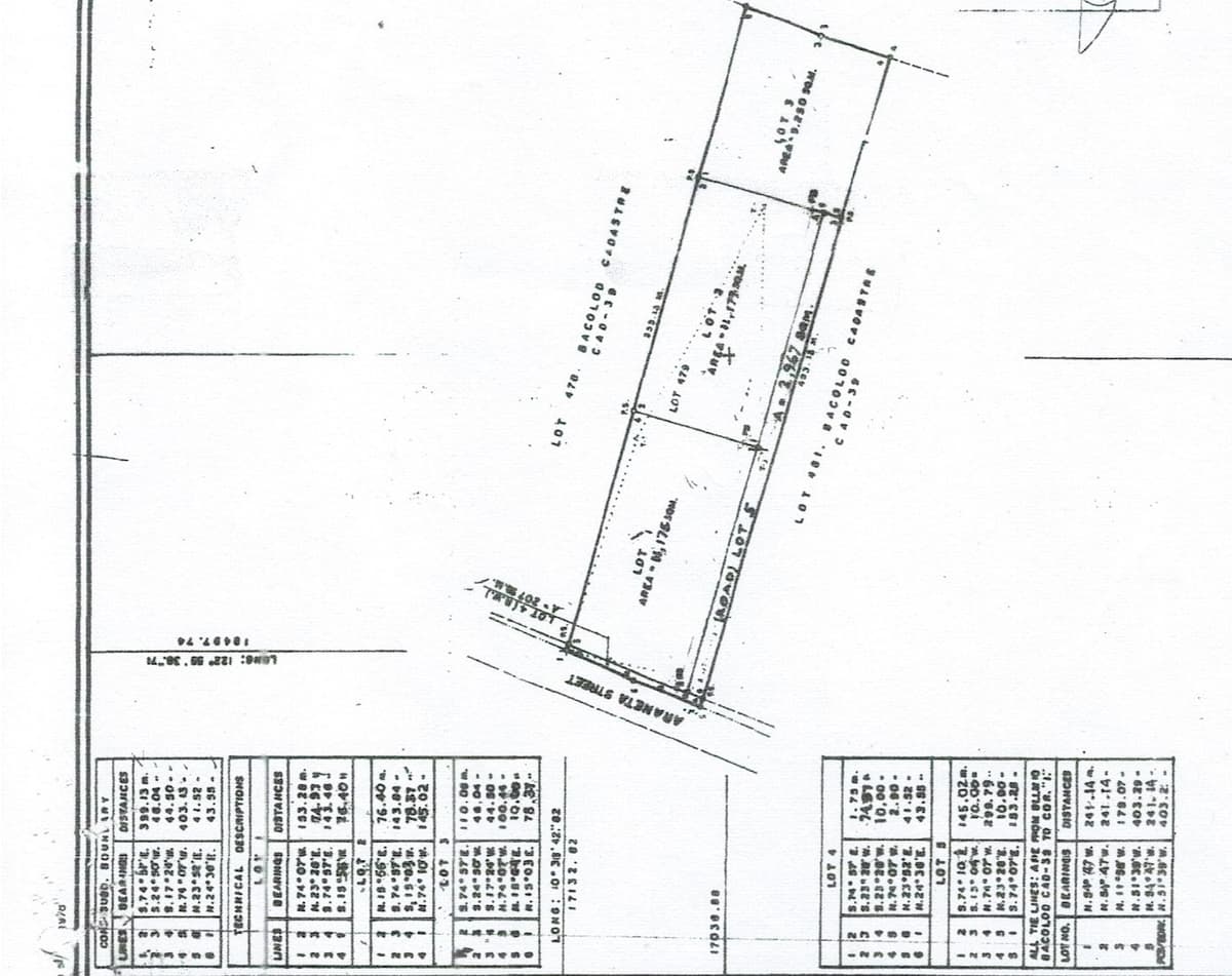 3.4 Hectares Commercial lot along Araneta St. - photo 5