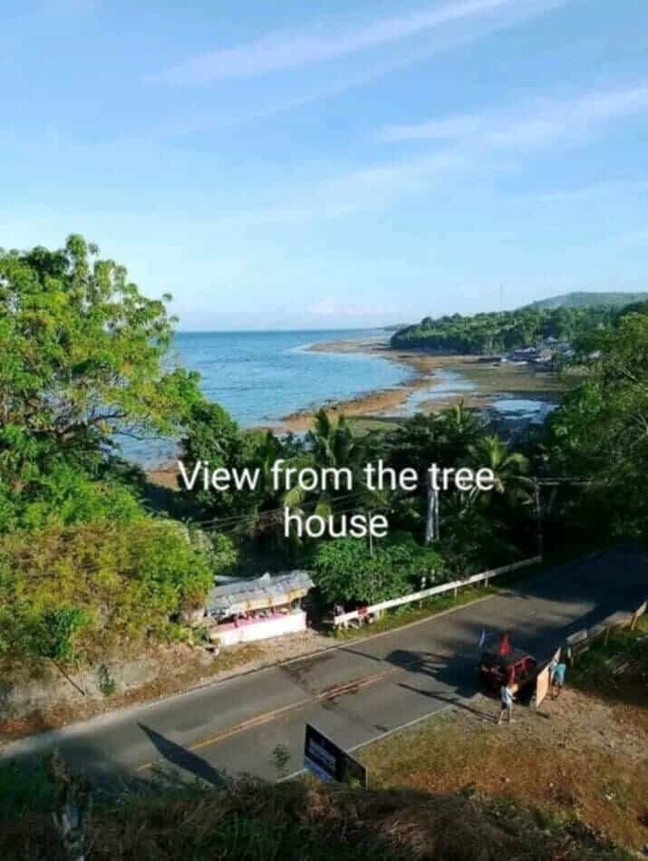4,934 sqm Prime Lot with Ocean View & Highway Frontage in Badian, Cebu (Near Kawasan Falls) - photo 3