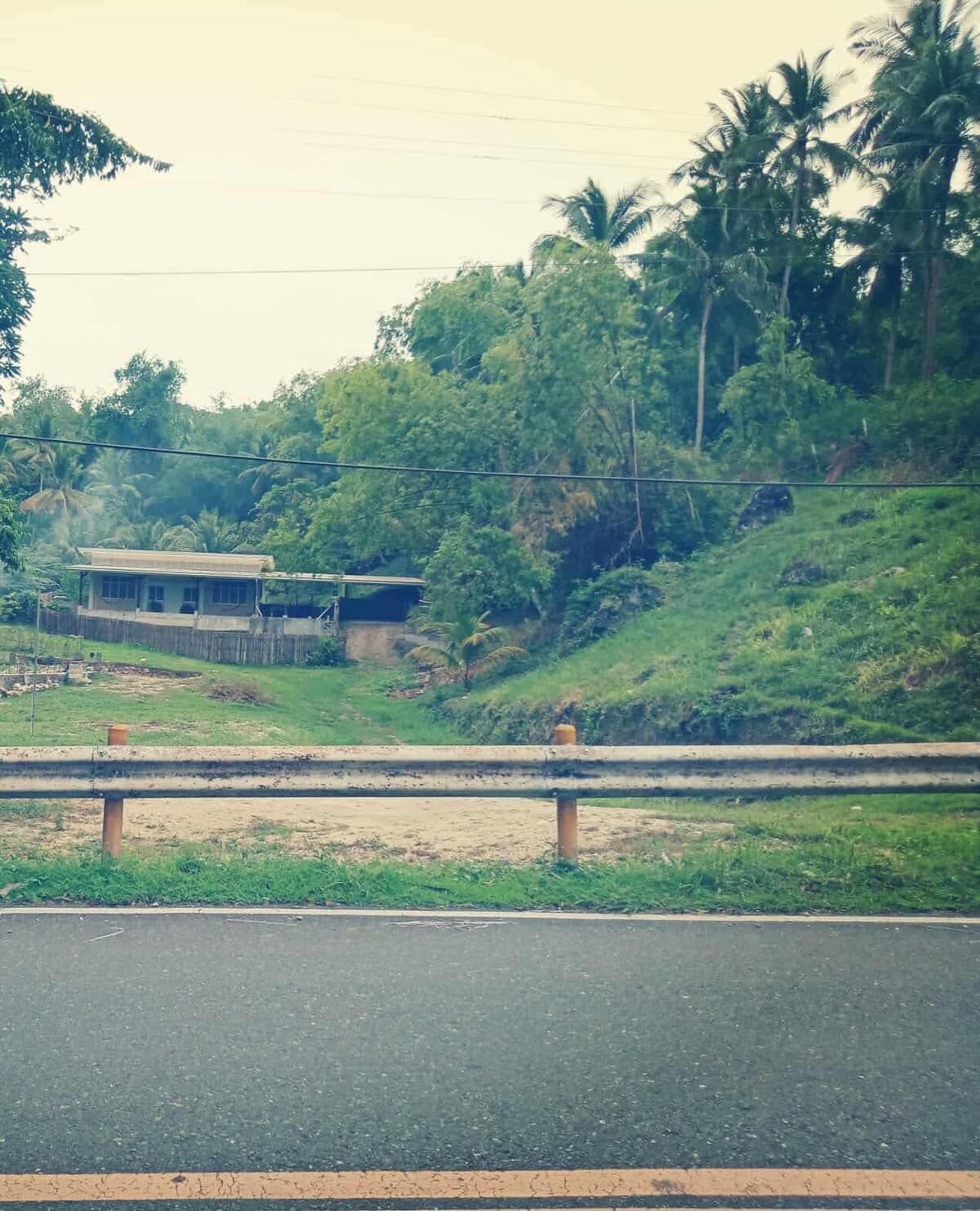 4,934 sqm Prime Lot with Ocean View & Highway Frontage in Badian, Cebu (Near Kawasan Falls) - photo 2