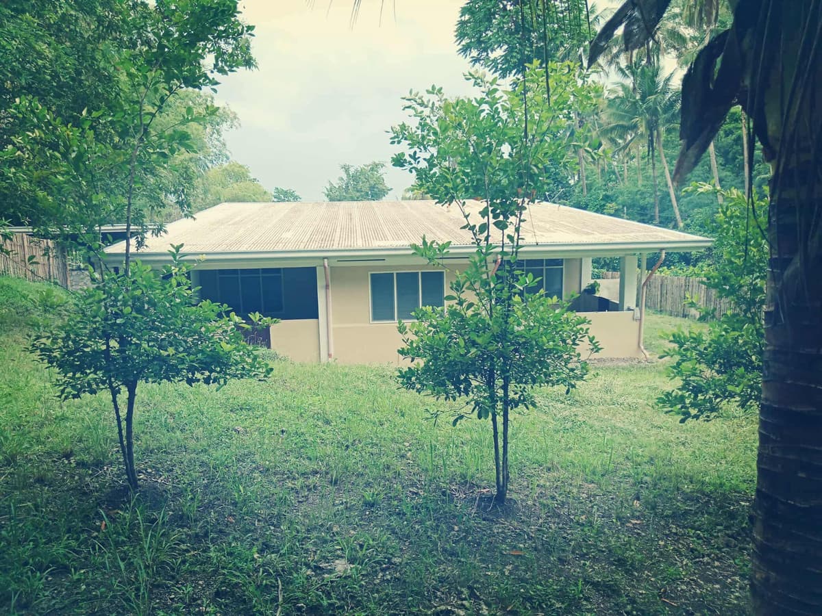 4,934 sqm Prime Lot with Ocean View & Highway Frontage in Badian, Cebu (Near Kawasan Falls) - photo 6