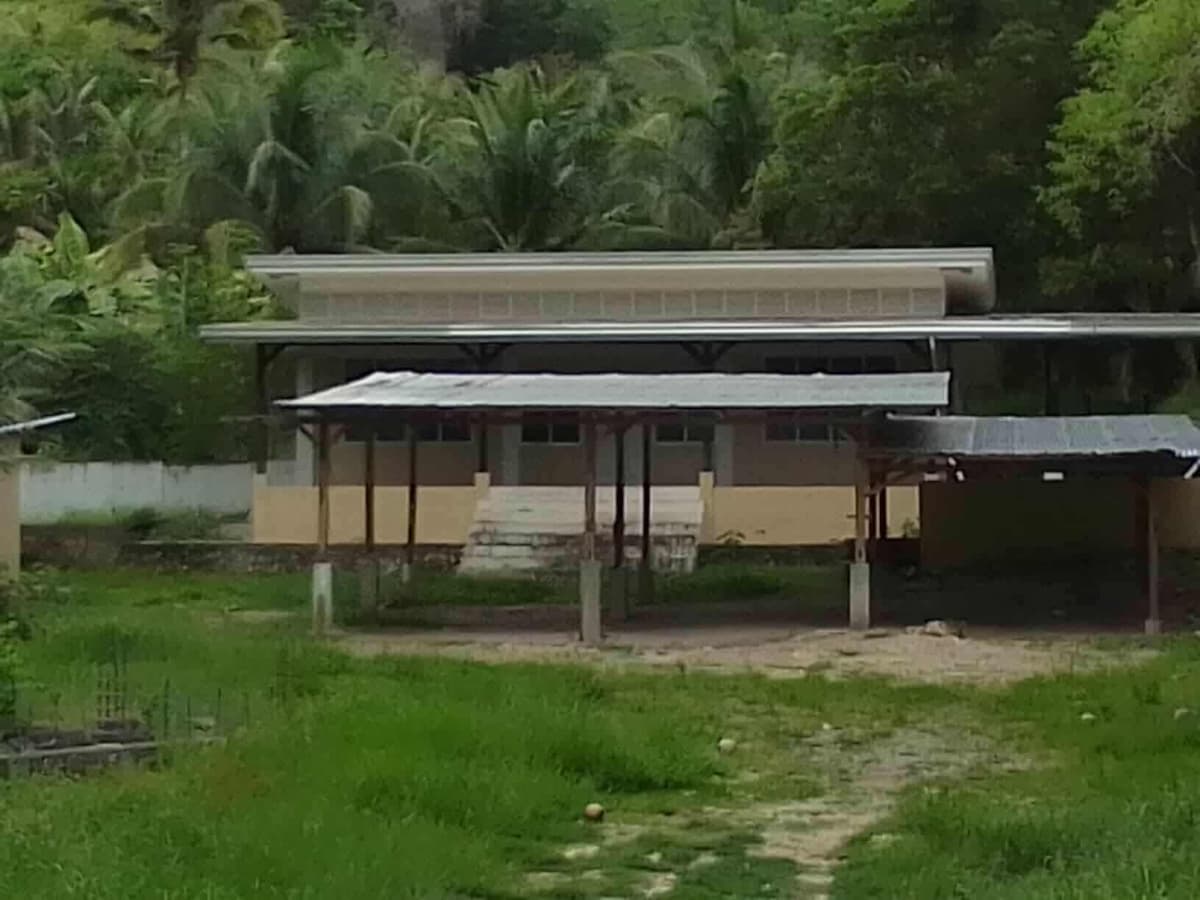 4,934 sqm Prime Lot with Ocean View & Highway Frontage in Badian, Cebu (Near Kawasan Falls) - photo 5