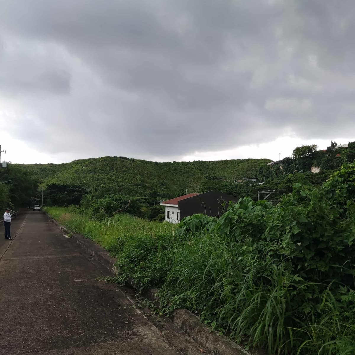 142 SQMS LOT in ASPEN HEIGHTS (quiet,private subdivision) in ASPEN HEIGHTS TOLOTOLO Consolacion - photo 2