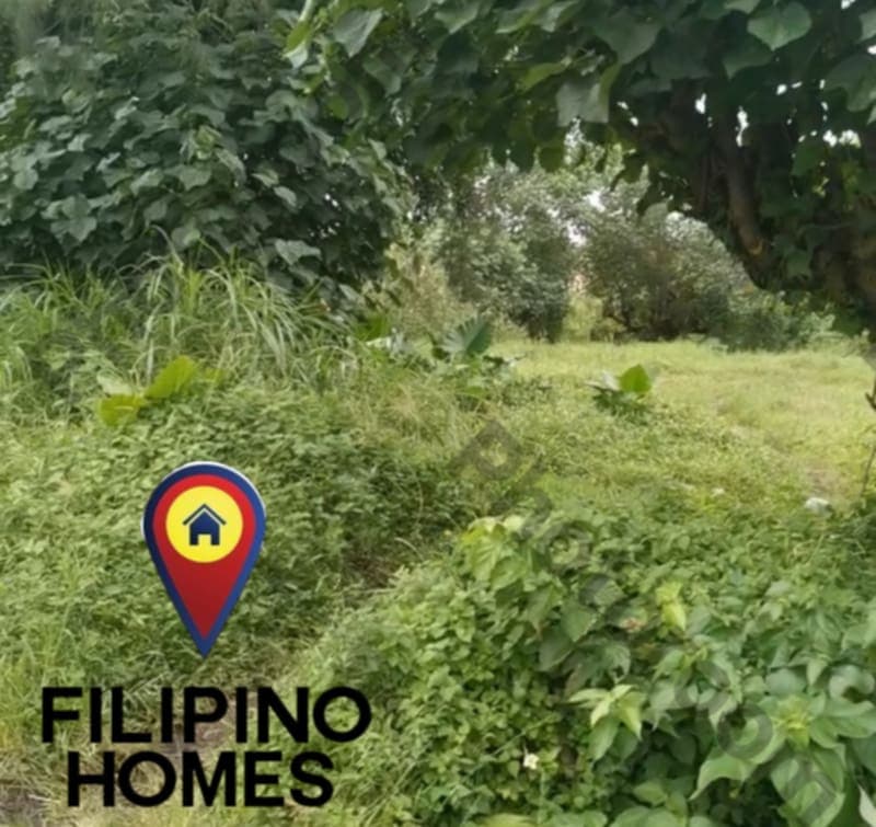 533 SQM RESIDENTIAL LOT FOR SALE IN A COMMERCIAL AREA - photo 5