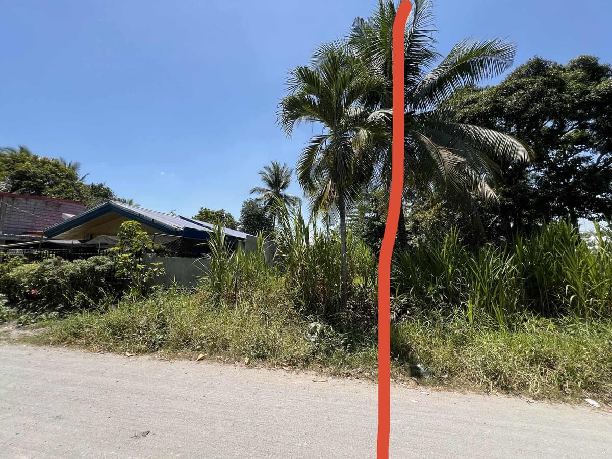 Residential Lot For Sale at Purok Villegas Koronadal City - photo 4