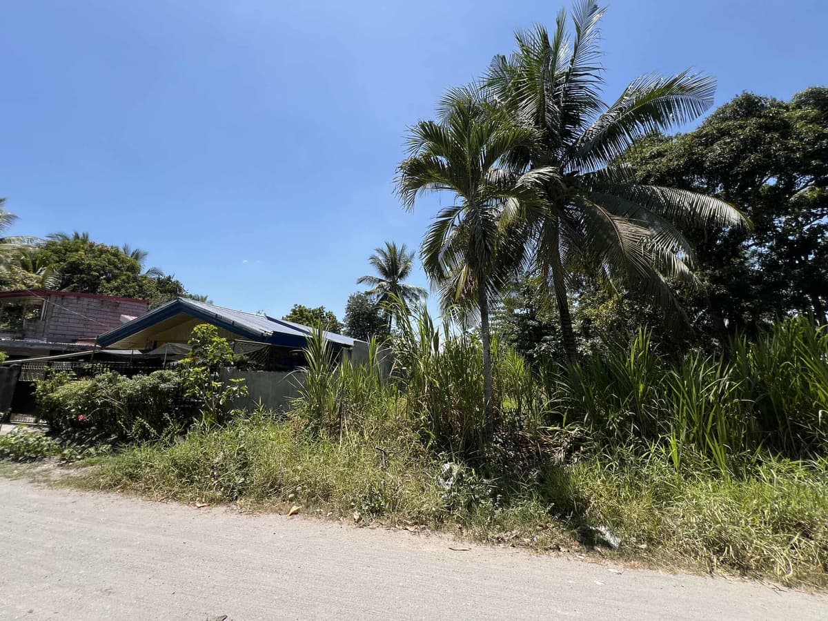 Residential Lot For Sale at Purok Villegas Koronadal City - photo 1