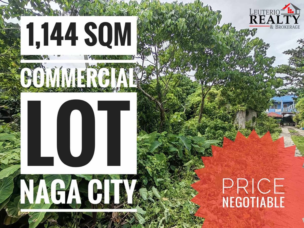Commercial Lot for Sale Along the Highway Bagumbayan Norte Naga City - photo 1