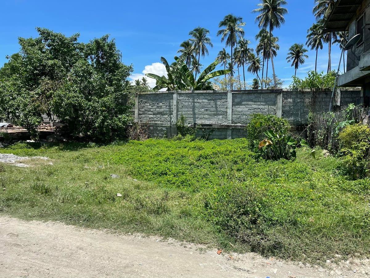 Residential Lot for Sale - photo 2