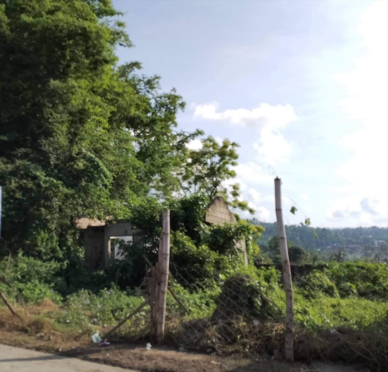 Residential land - photo 1