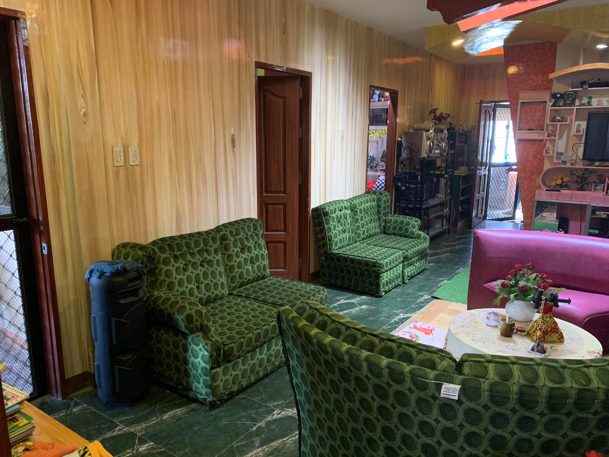 HOUSE AND LOT FOR SALE IN GENSAN !! - photo 7