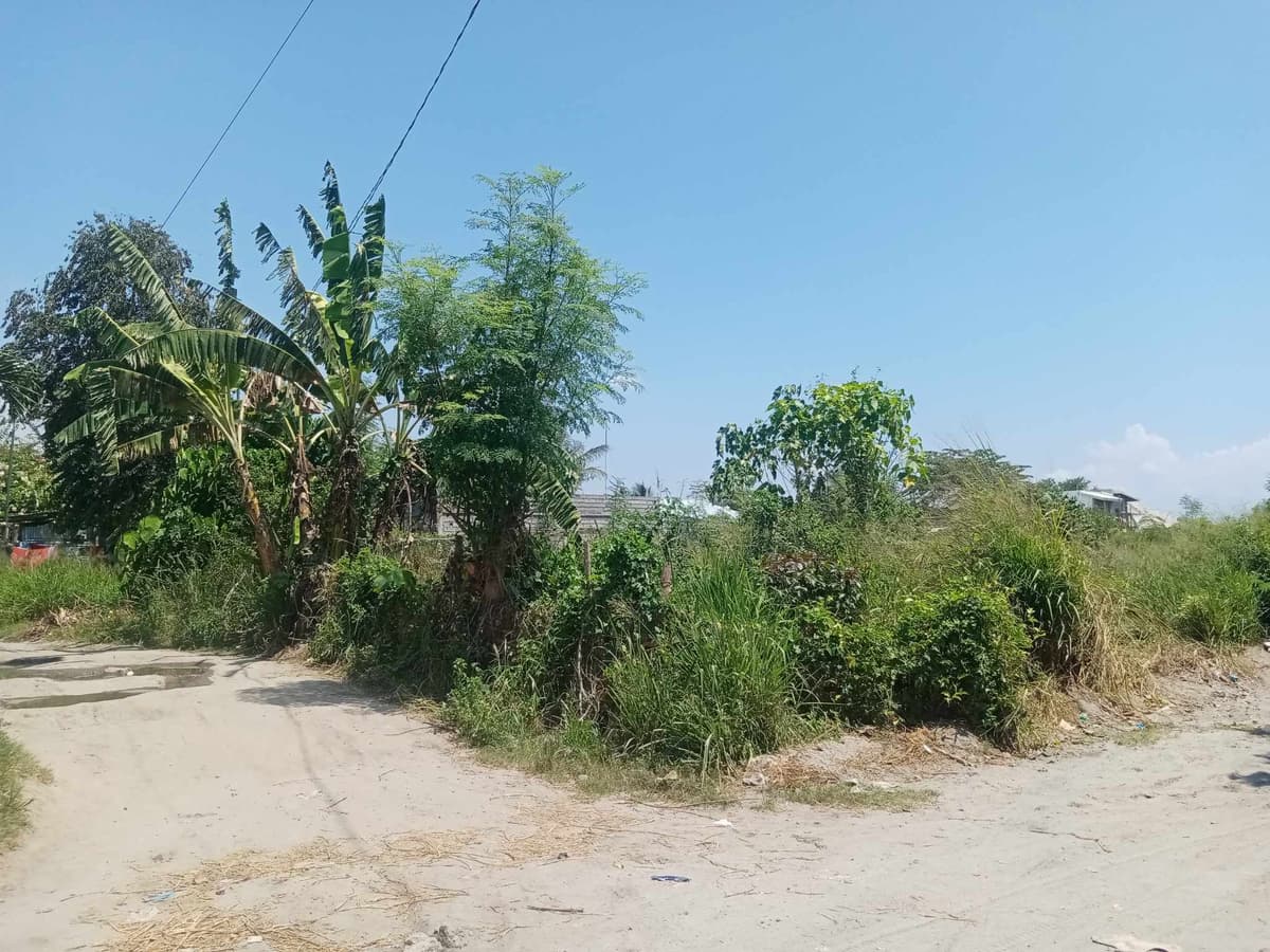 Lot For Sale in Calumpang Gensan with 970sqm - photo 1