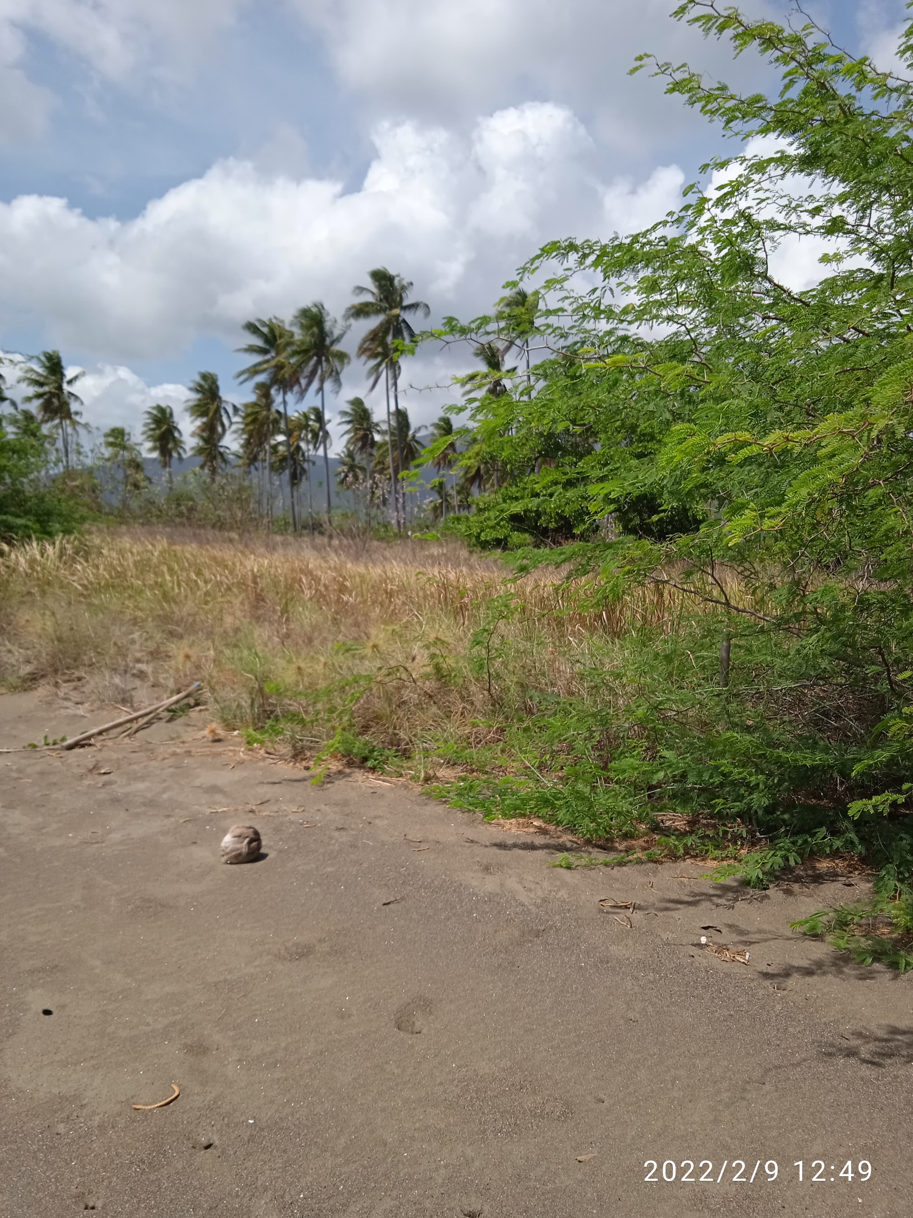 Beachfront - photo 4