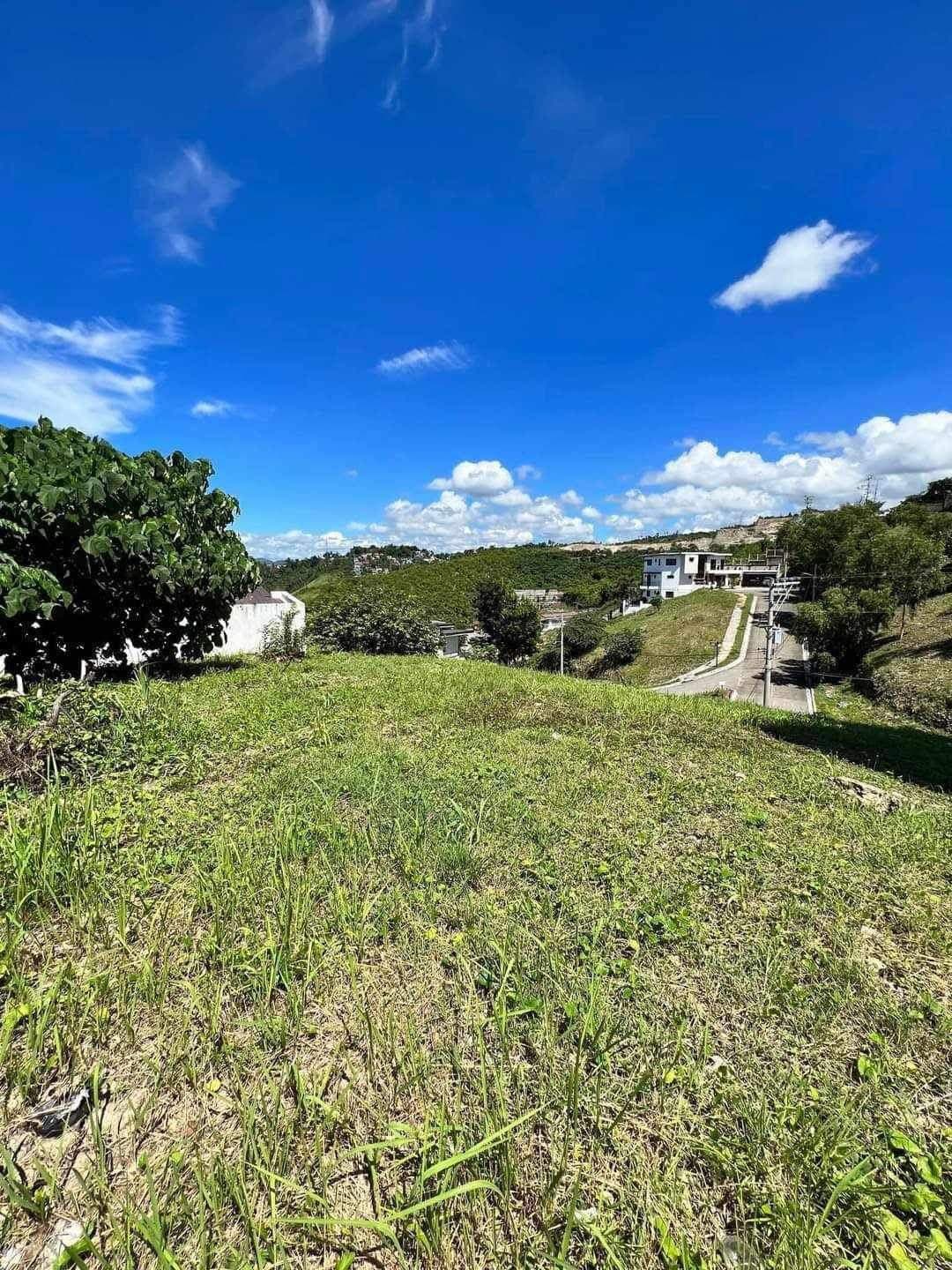 Clean title - photo 2