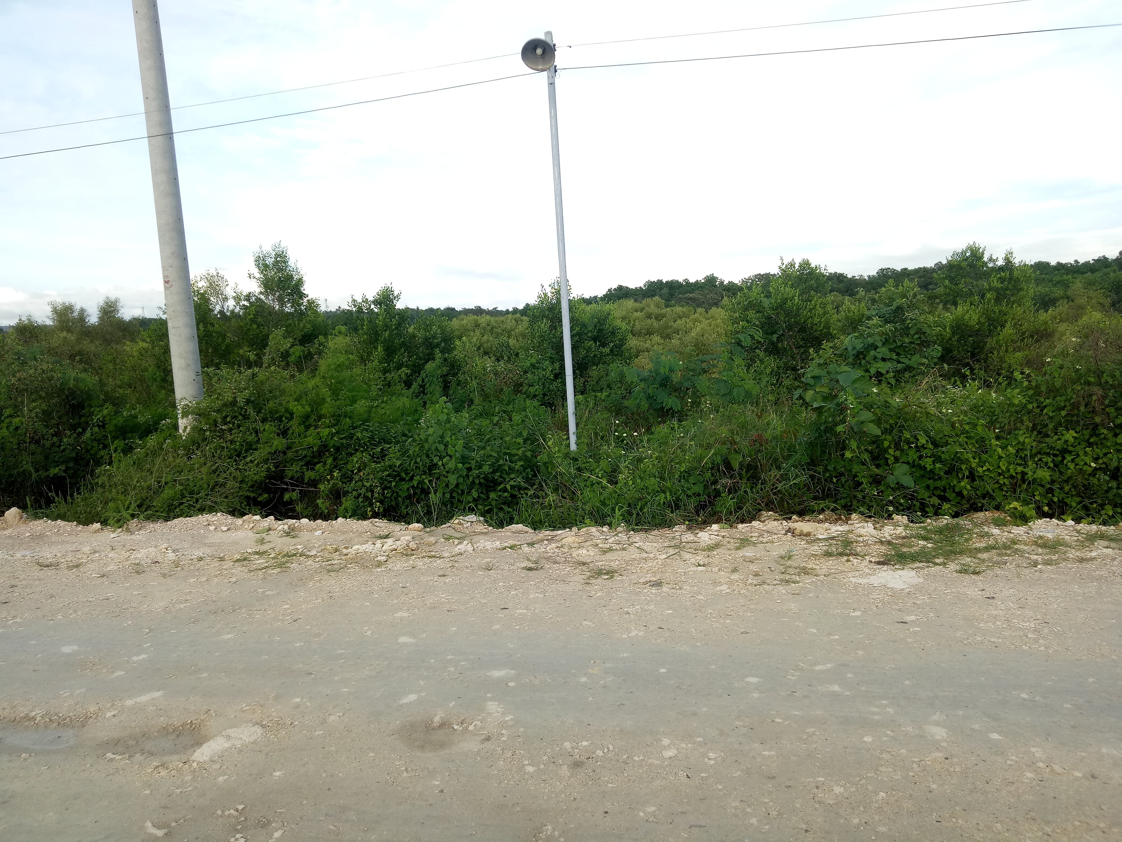 Lot for Sale in Carcar City - photo 1