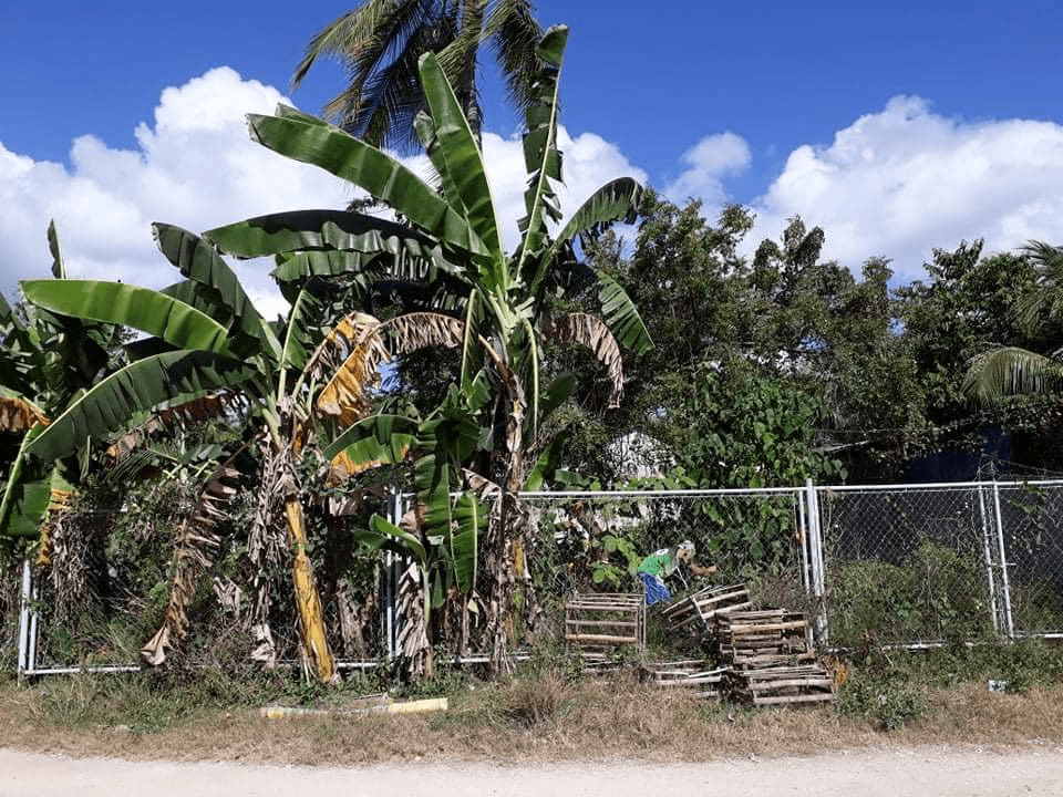 241 SQM Residential Lot for Sale in Magay, Compostela - photo 6