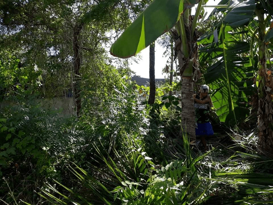 241 SQM Residential Lot for Sale in Magay, Compostela - photo 4