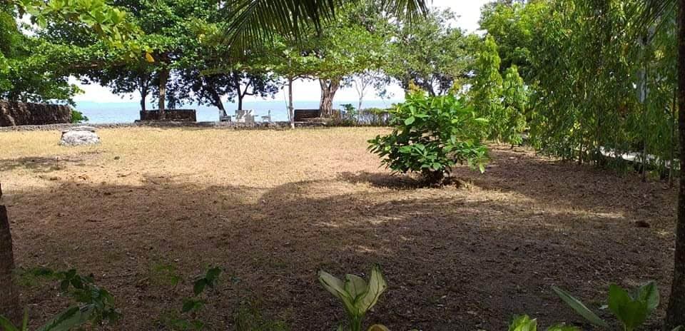 CAMOTES ISLAND BEACH LOT - photo 6