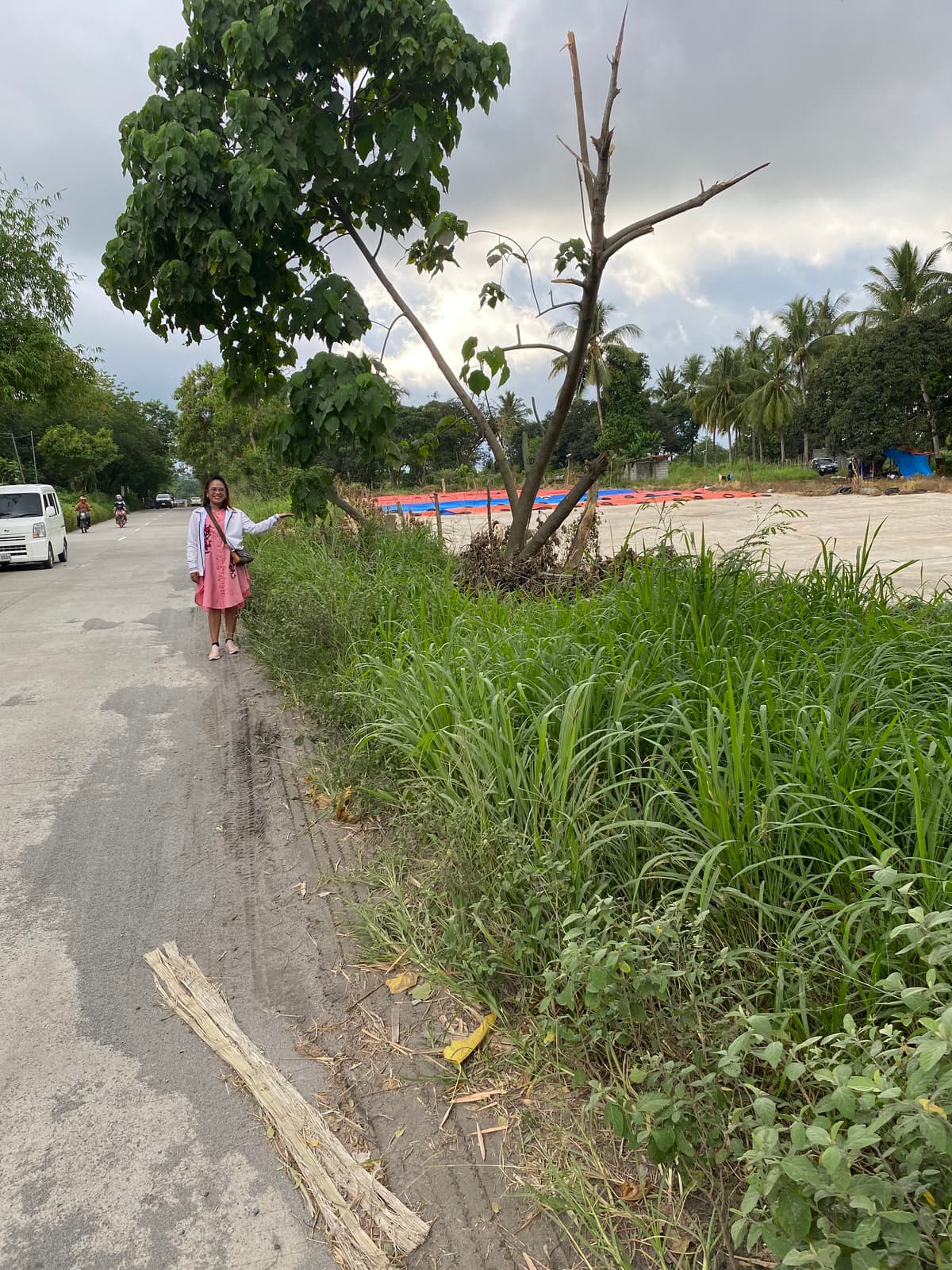 Lot for rent - photo 4